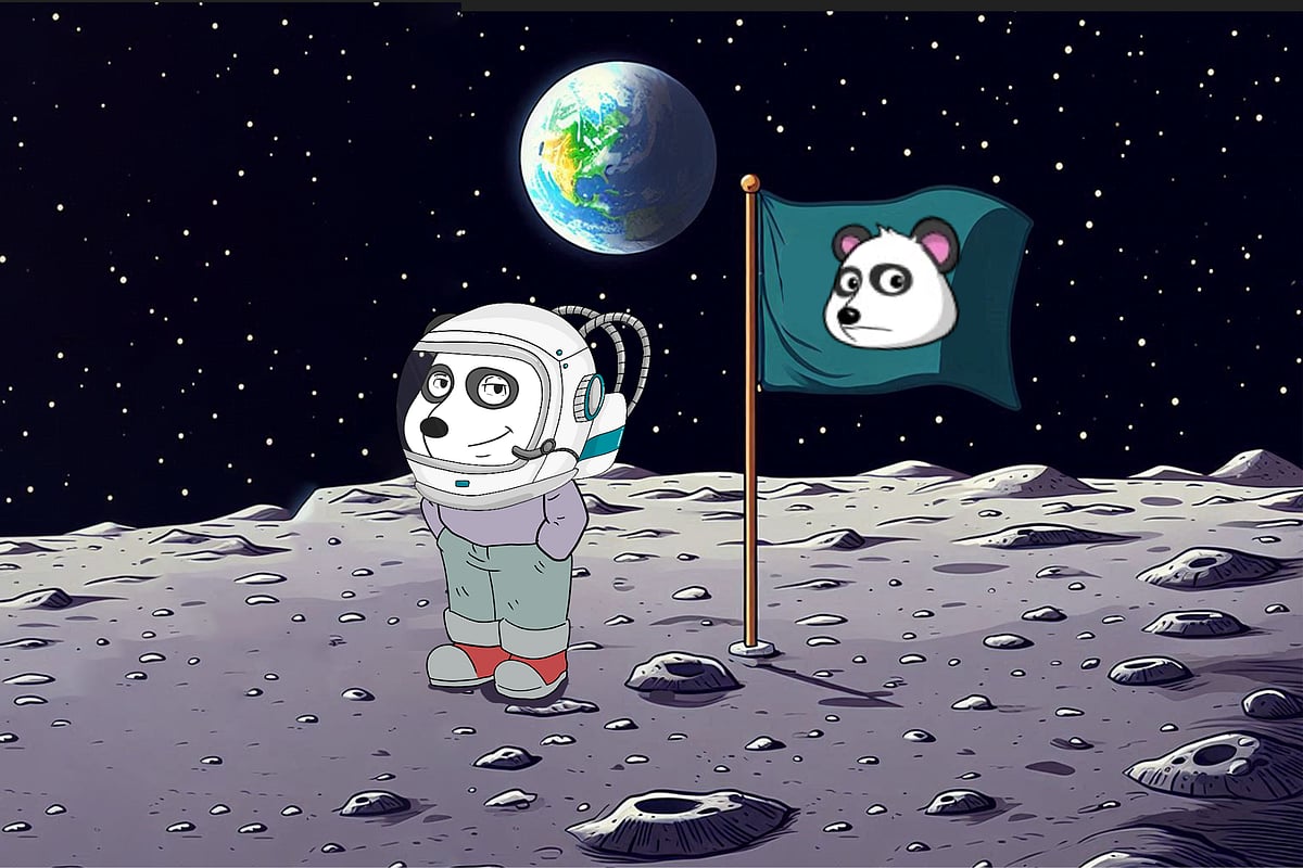 Panshibi
