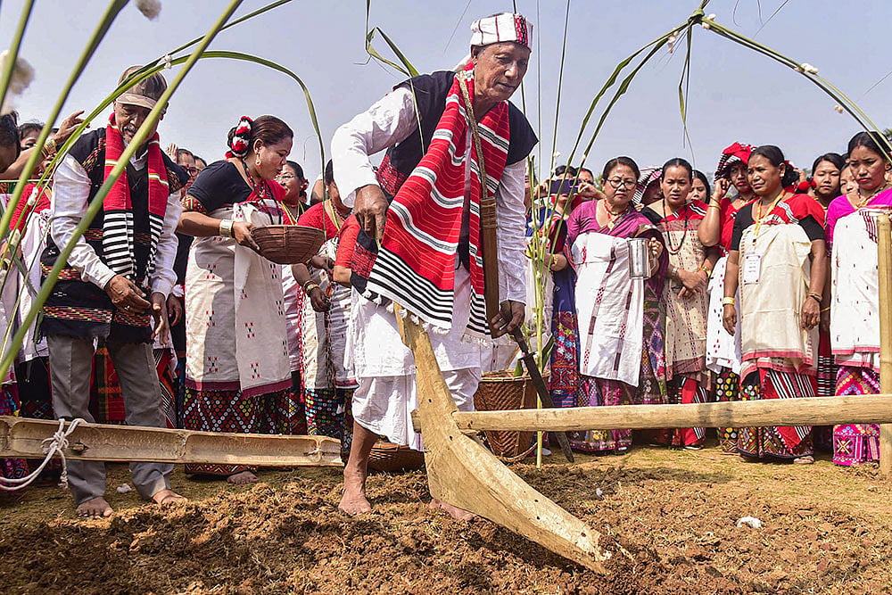 Ali Aye Ligang festival