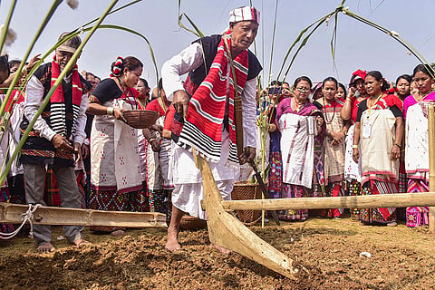 Ali Aye Ligang festival
