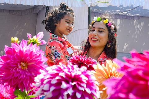 Flower Show 2025