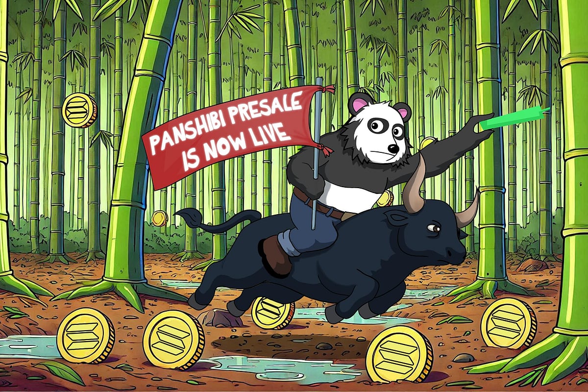 Panshibi (SHIBI) Attracts Major Shiba Inu (SHIB) Investors In Early Presale – Time Is Running Out to Buy In!