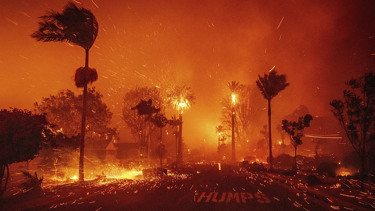 The wildfires ravage a neighbourhood amid high winds. - AP