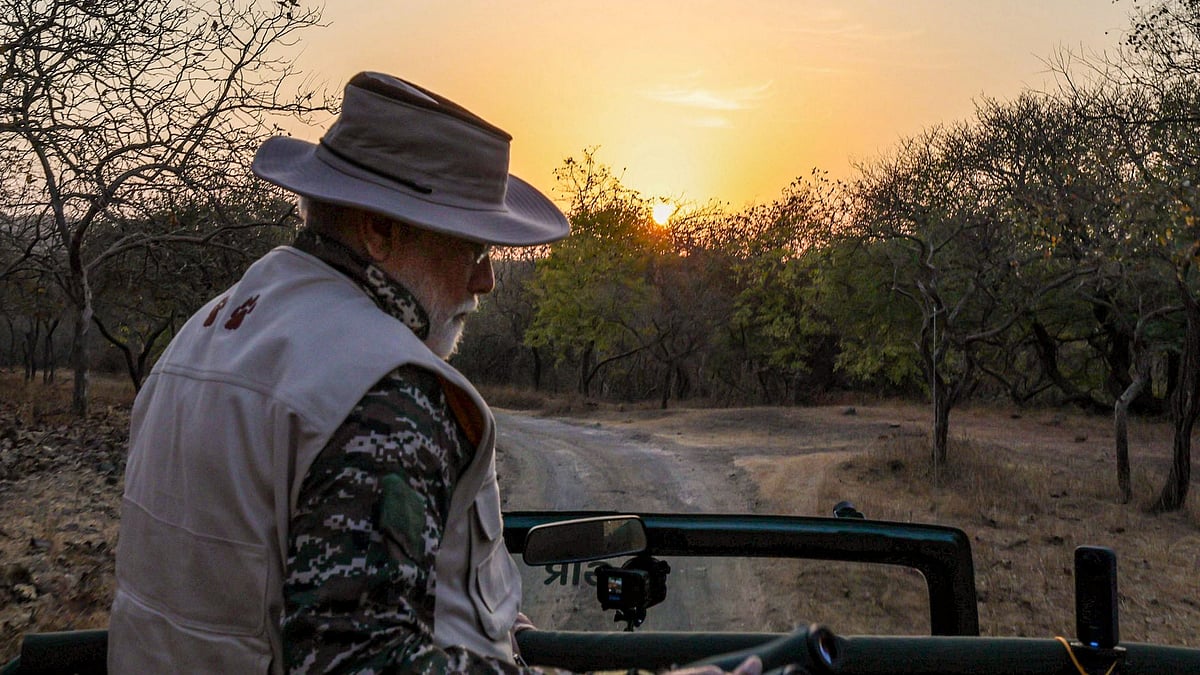 -PTI : PM Modi Visits Gir Safari On World Wildlife Day, Praises Tribals For Preserving Habitat Of Asiatic Lions