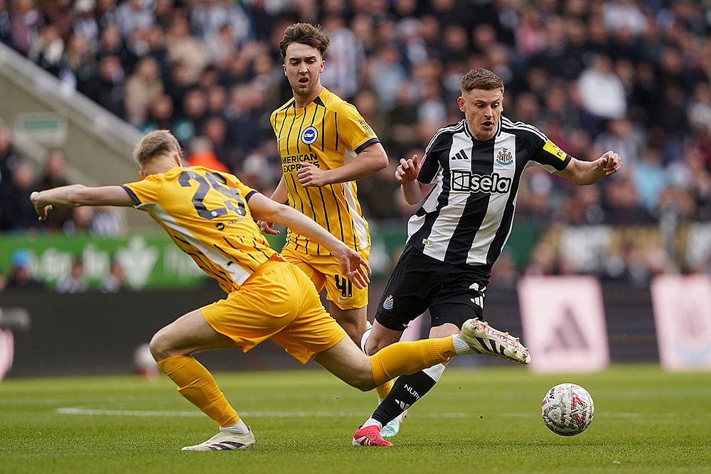 Brighton vs Newcastle United