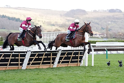 Cheltenham Festival, Day 1: King Of Kingsfield ridden by Danny Gilligan