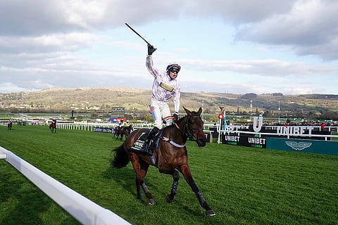 Cheltenham Festival, Day 1: Golden Ace ridden by Lorcan Williams on their way to winning trophy