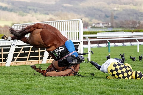 Cheltenham Festival, Day 1: State Man ridden by Paul Townend falls at the last hurdle