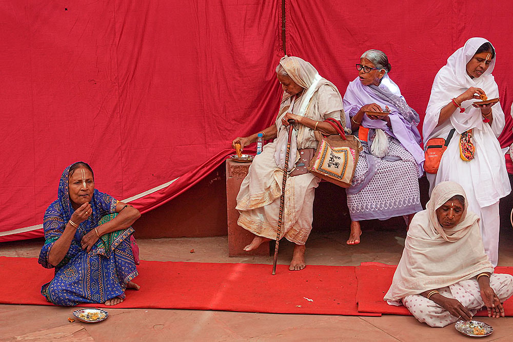 Vrindavans Widow Holi