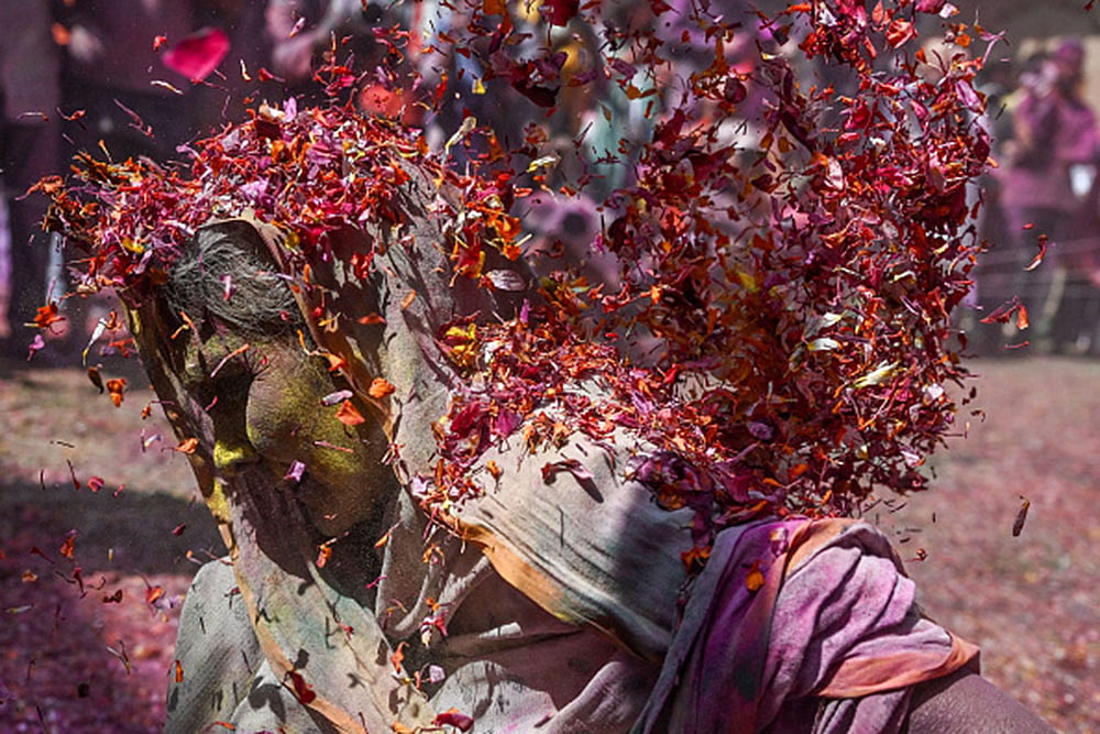 Holi and Vrindavans Widows