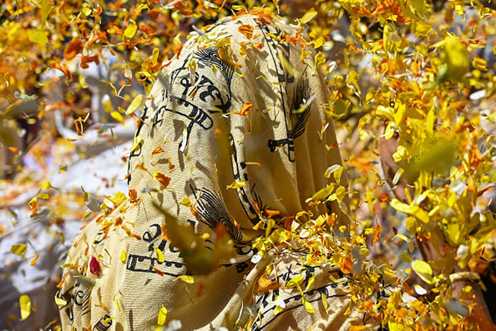 Vrindavan Holi celebration