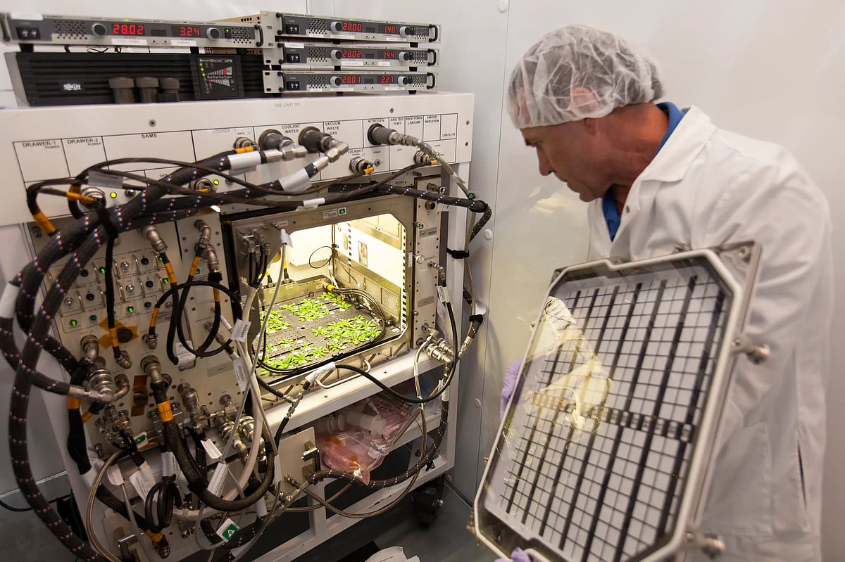 food in space