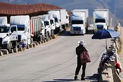 US Revokes 28,000 Immigrant Trucking Licences: Indian Drivers Impacted
- | Photo: AP; Representative image