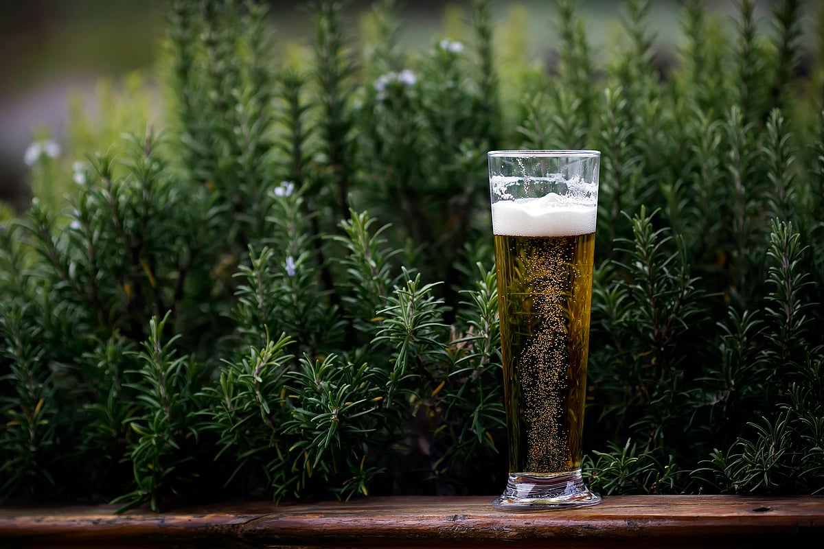 Is Beer Good For You? A Science-Backed Look At Beer And Health