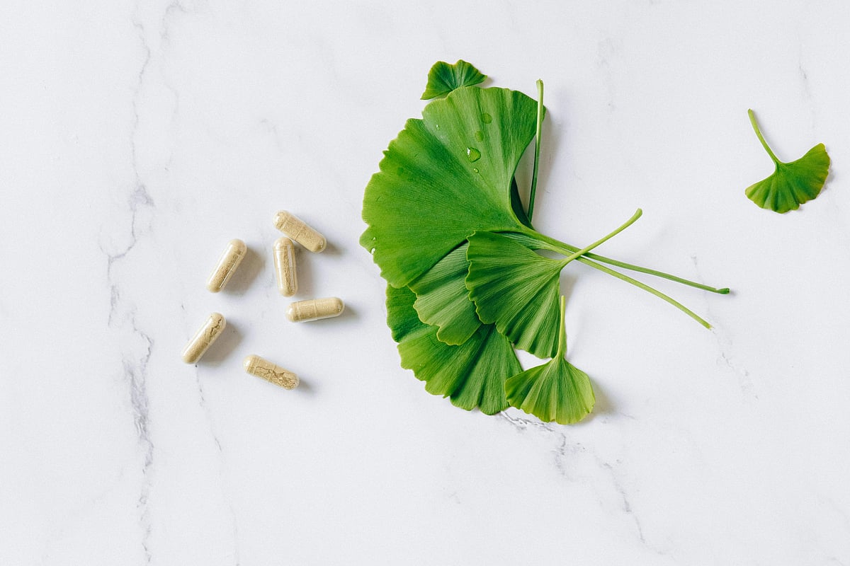 Ginkgo Biloba