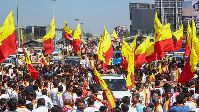Pro-Kannada outfits - PTI