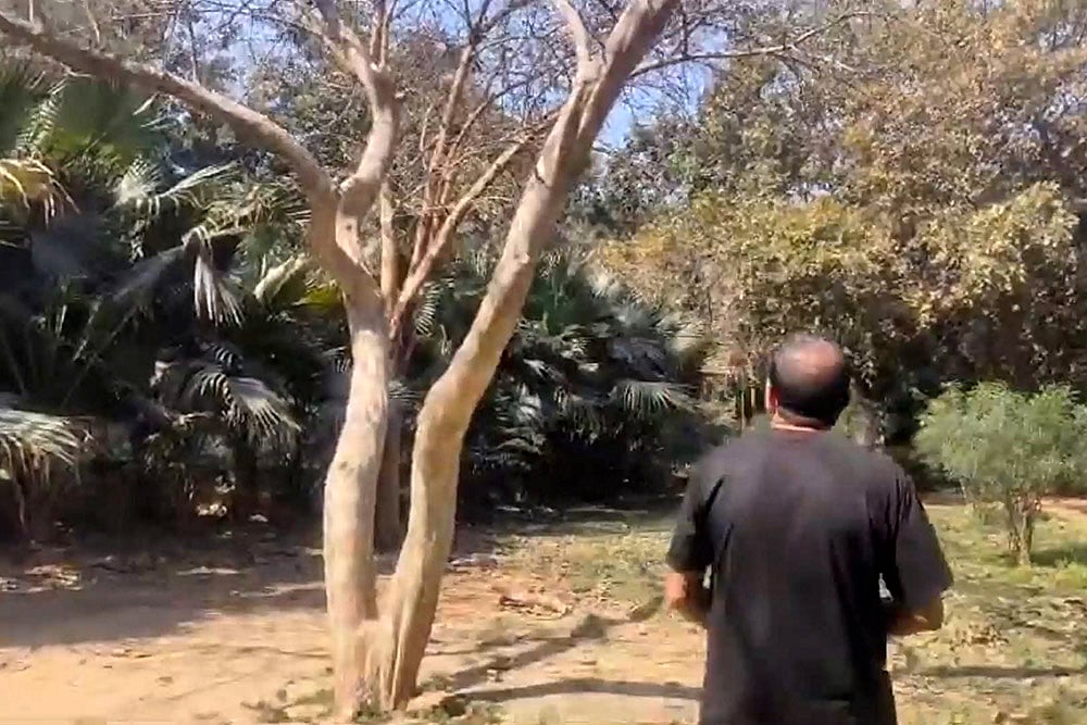 Boy, girl found hanging from tree in Delhis Deer Park