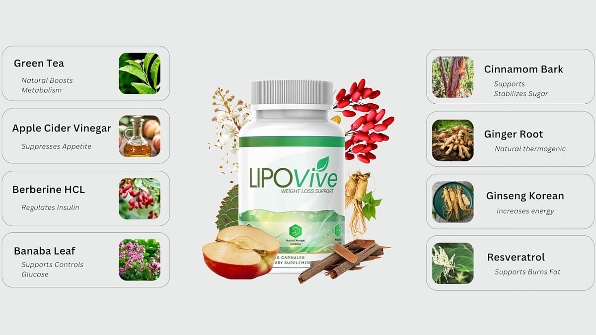 LipoVive Ingredients