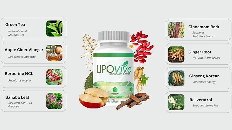 LipoVive Ingredients