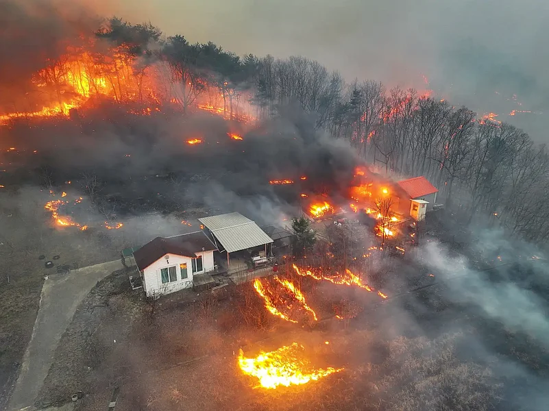 Wildfires raging across South Korea