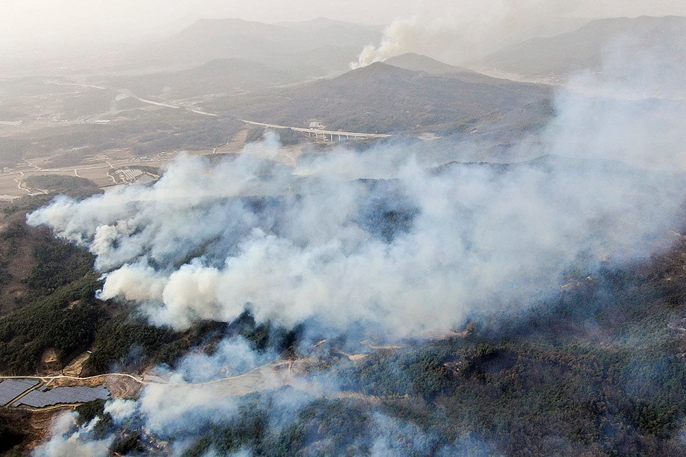 Strong winds fan South Korea wildfires photos: 8