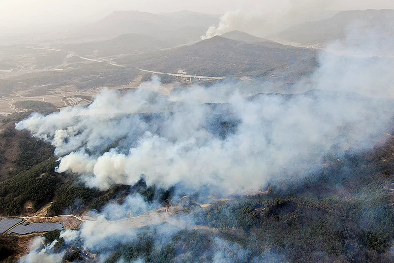 Strong winds fan South Korea wildfires photos: 8