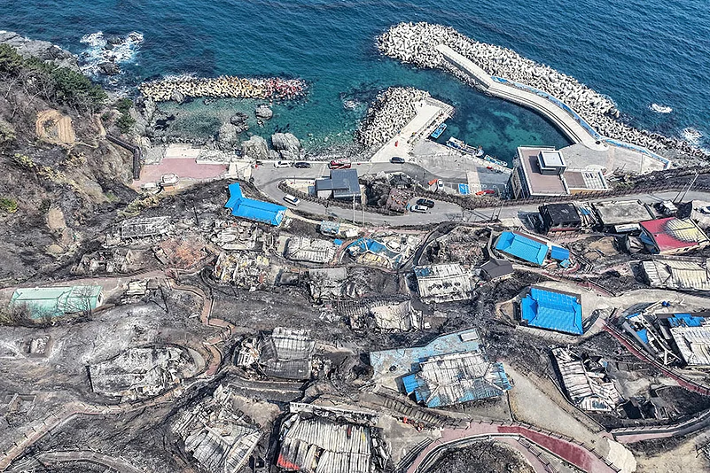 Strong winds fan South Korea wildfires photos: 5