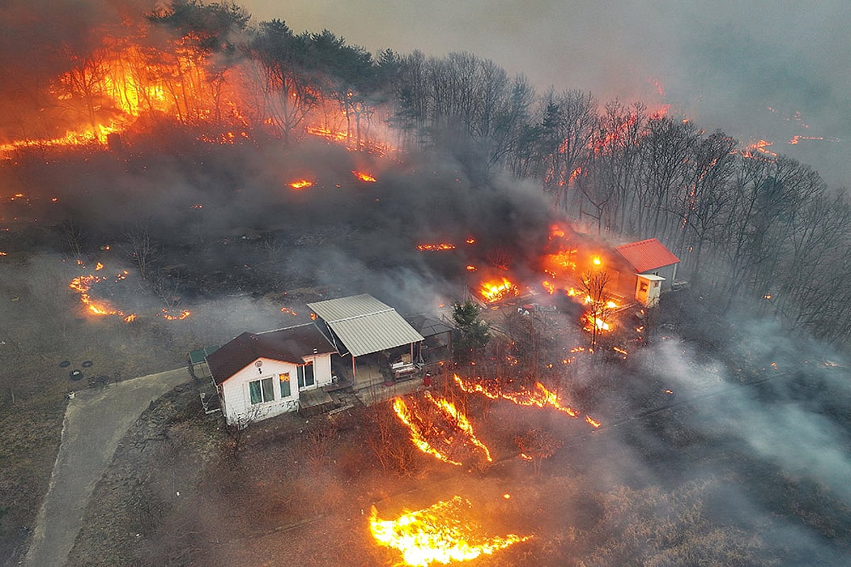 Strong winds fan South Korea wildfires photos: 1