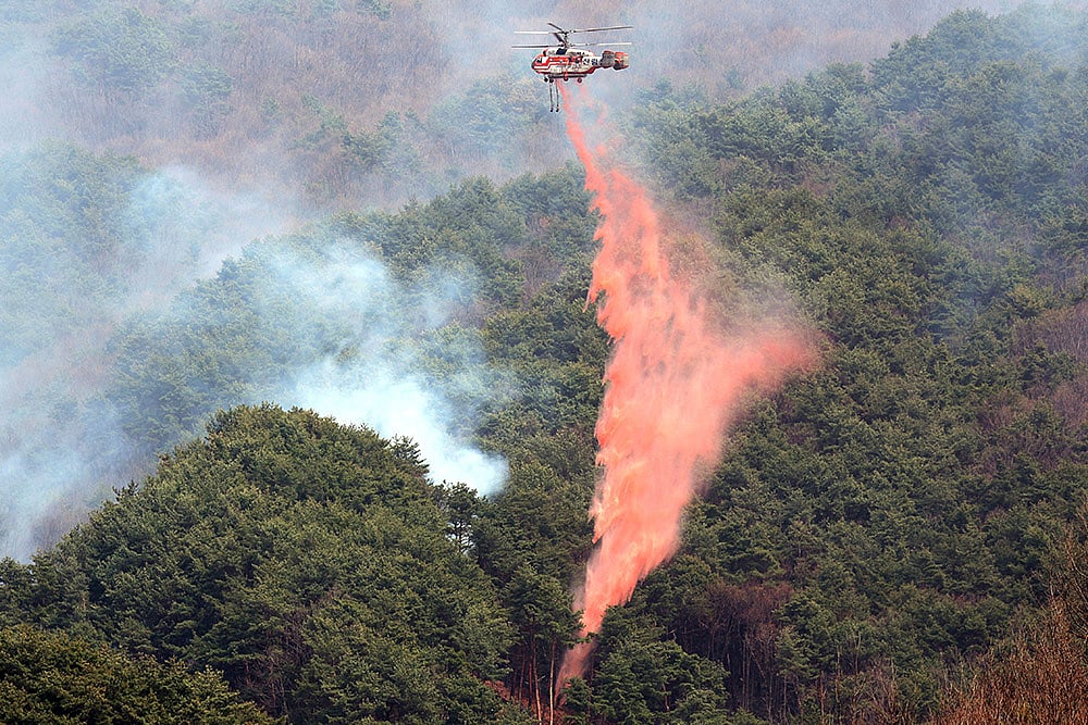 Strong winds fan South Korea wildfires photos: 7