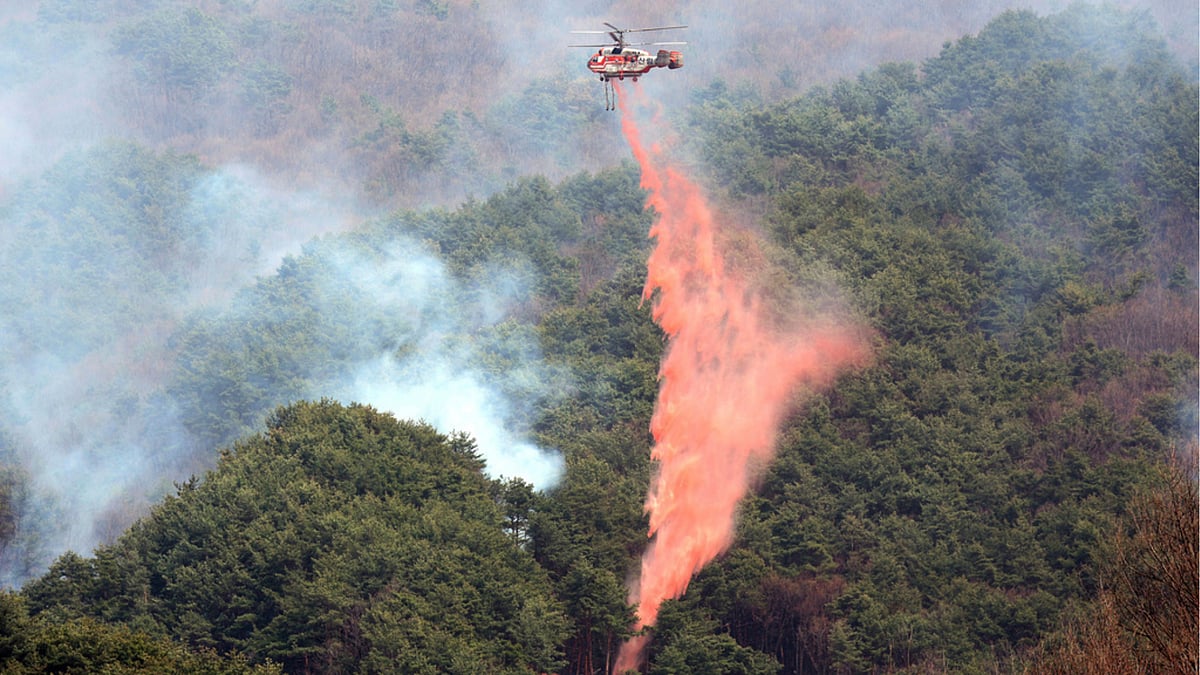 | Photo: AP : Wildfires in Israel
