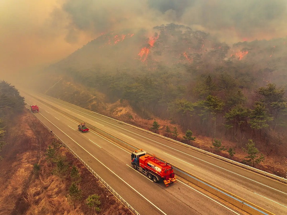 AP : Deadly wildfire in South Korea 