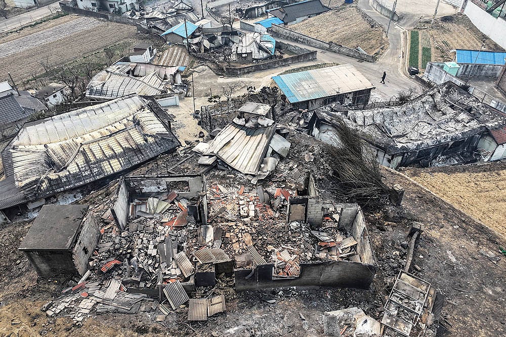 Strong winds fan South Korea wildfires photos: 3