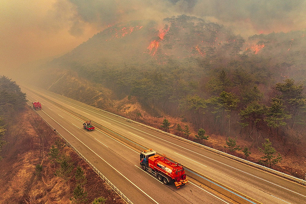 Strong winds fan South Korea wildfires photos: 6