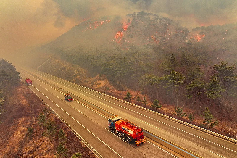 Strong winds fan South Korea wildfires photos: 6