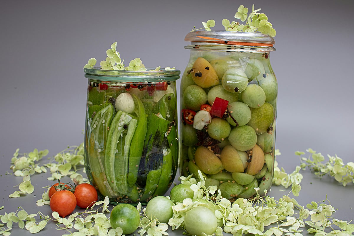 The Importance Of Probiotics For Gut And Overall Health