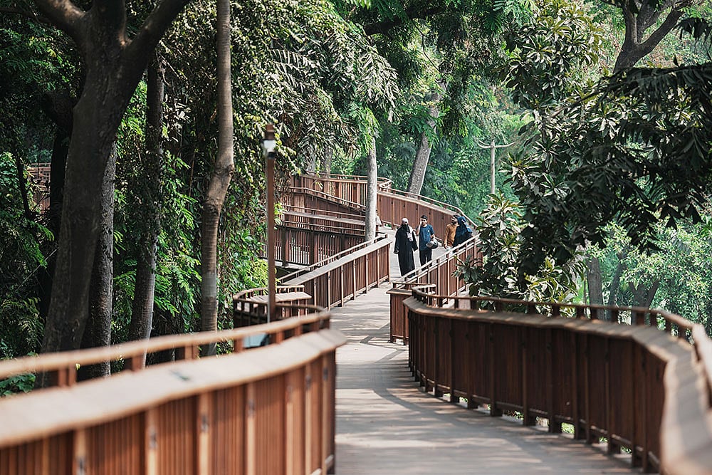 Mumbais first nature walk opened for public