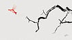 Vikas Thakur  : Illustration by Vikas Thakur 