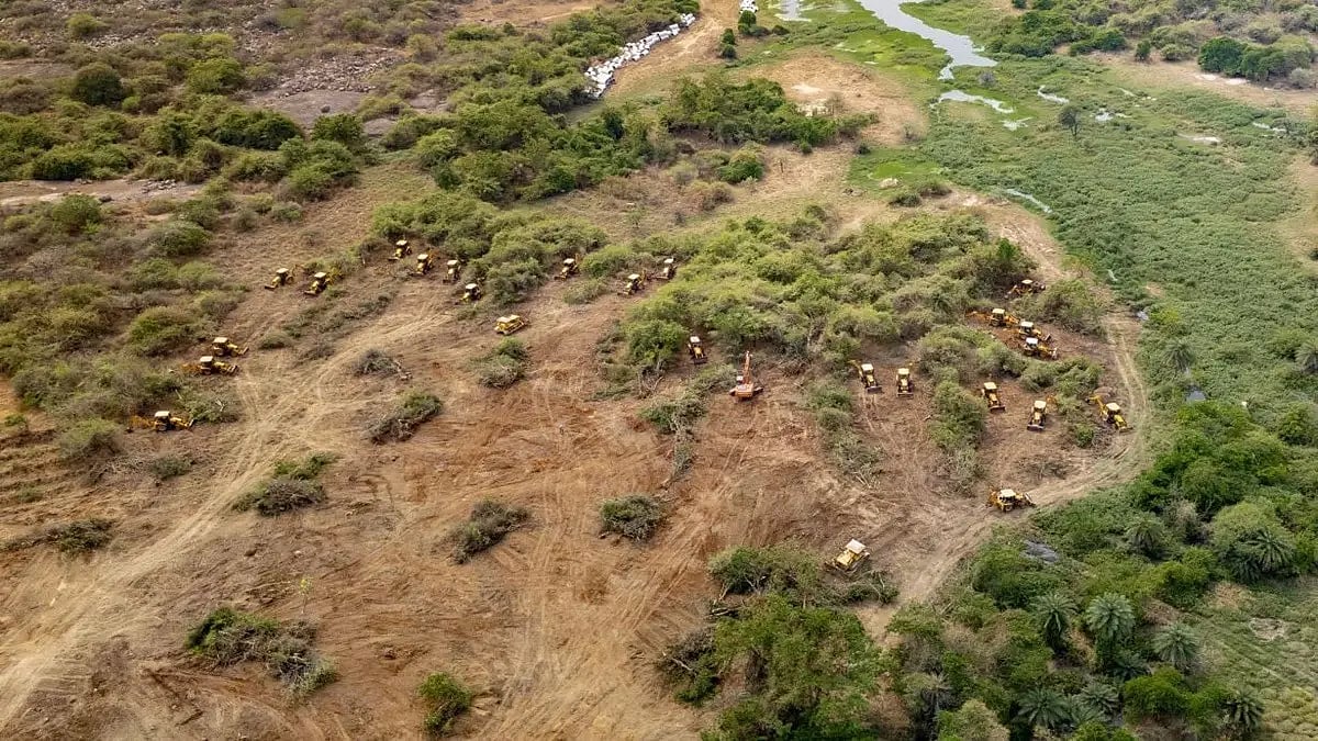 Telangana Minister Accused BRS Of Ecological Disaster, Citing 12 lakh Trees Cut And 11,422 Hectares Of Forest Land Diverted For Vanity Projects