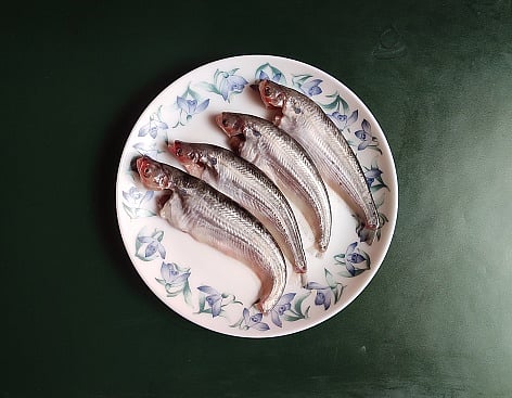 Fish 