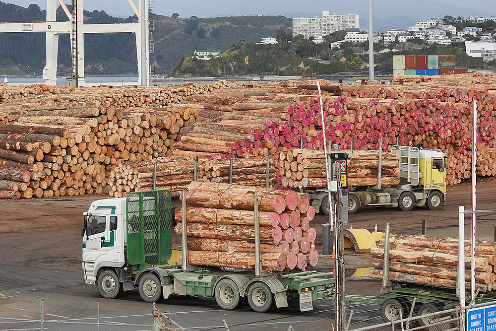 US President Donald Trump has imposed tariffs: New Zealand Trump Tariffs