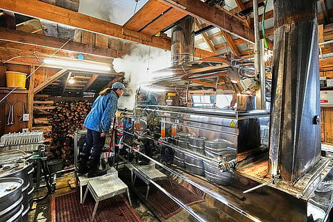 Trump Tariffs Maple Syrup