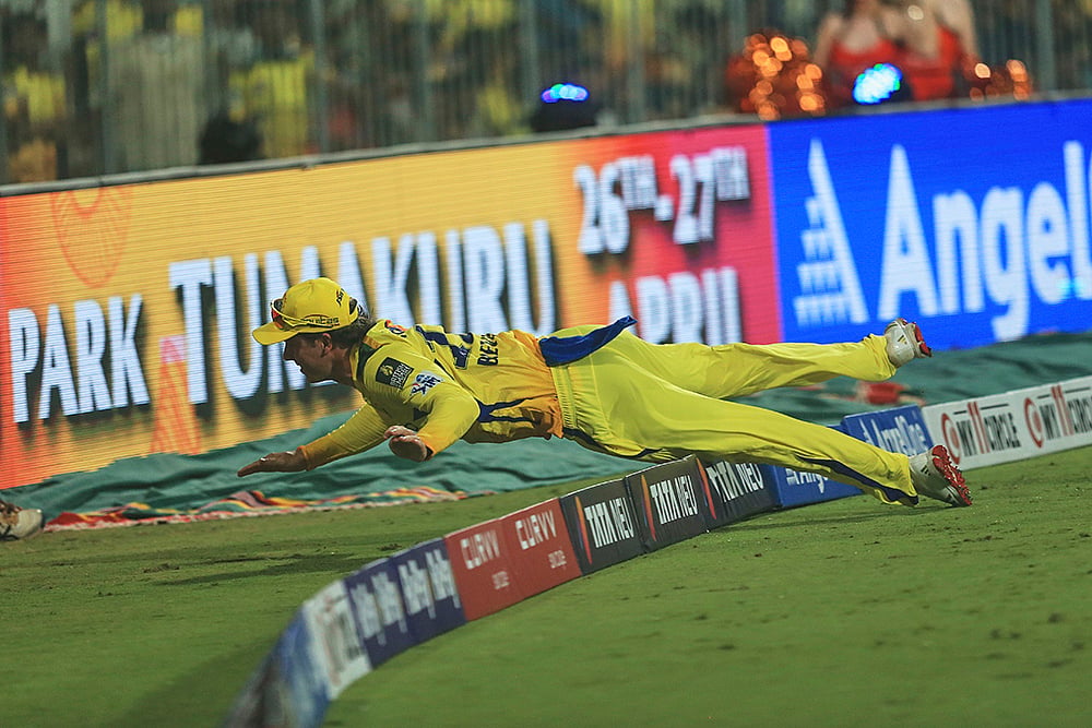 Indian Premier League Cricket IPL 2025 CSK vs SRH: Dewald Brevis