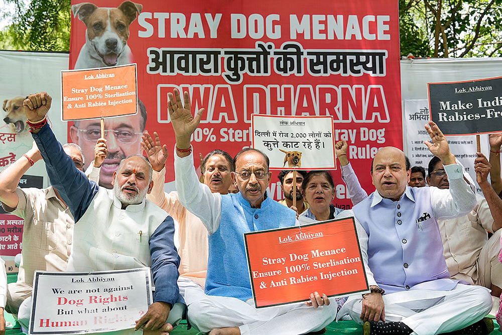 Protest against stray dog menace