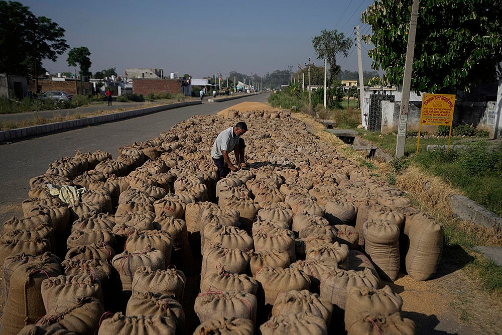 Pahalgam terror attack: Farmers in India Pakistan Border harvest early as border tensions rise_6