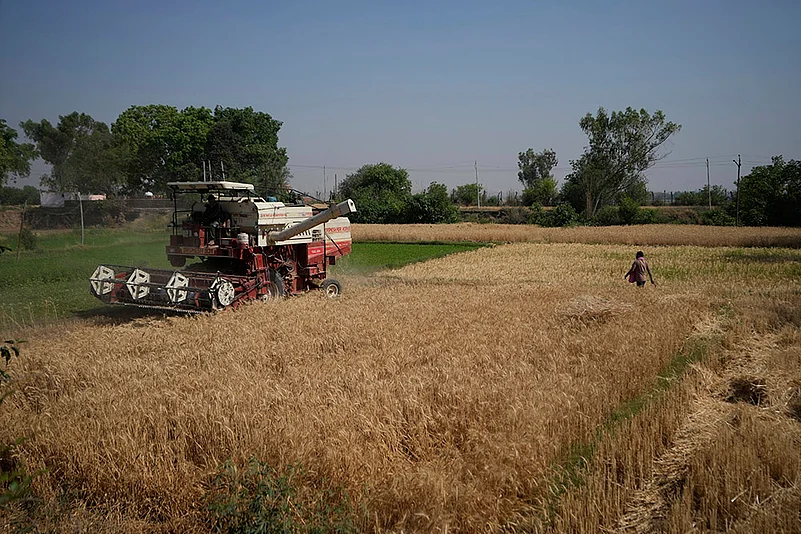 Pahalgam terror attack: Farmers in India Pakistan Border harvest early as border tensions rise_4