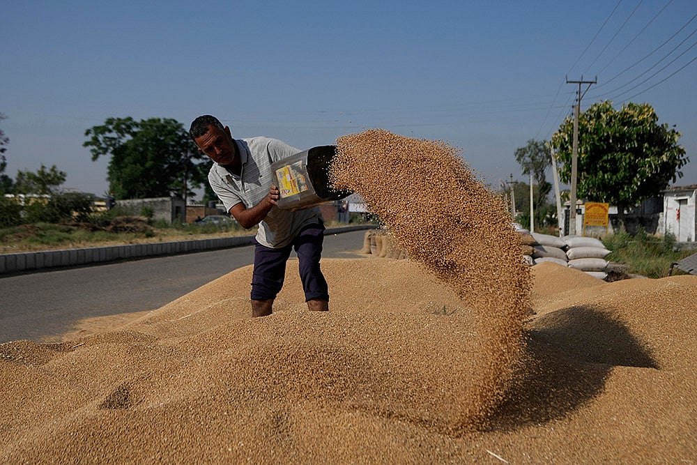 Pahalgam terror attack: Farmers in India Pakistan Border harvest early as border tensions rise_5