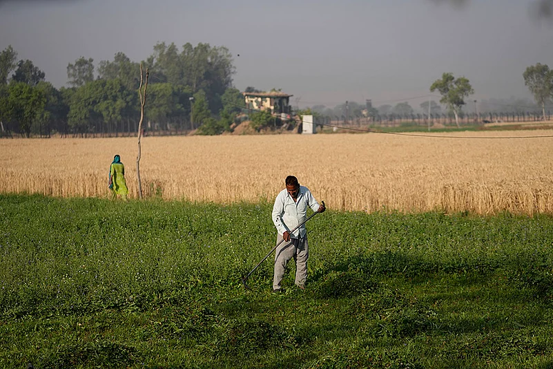Pahalgam terror attack: Farmers in India Pakistan Border harvest early as border tensions rise_2