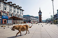 | Photo: Getty Images : The Silence: The market at Lal Chowk in Srinagar remained shut after the Pahalgam terror attack 