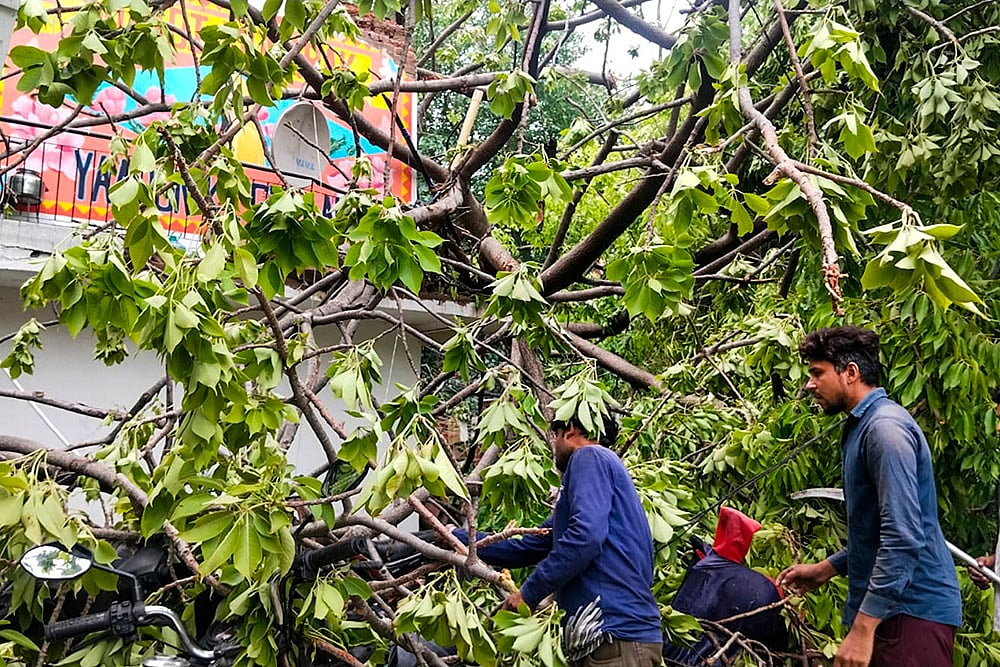Tree falls on sprinter Sangeeta Kumars house