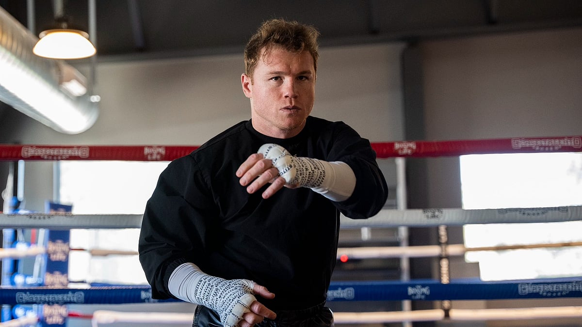 X | Canelo Alvarez : Canelo Alvarez file pic.