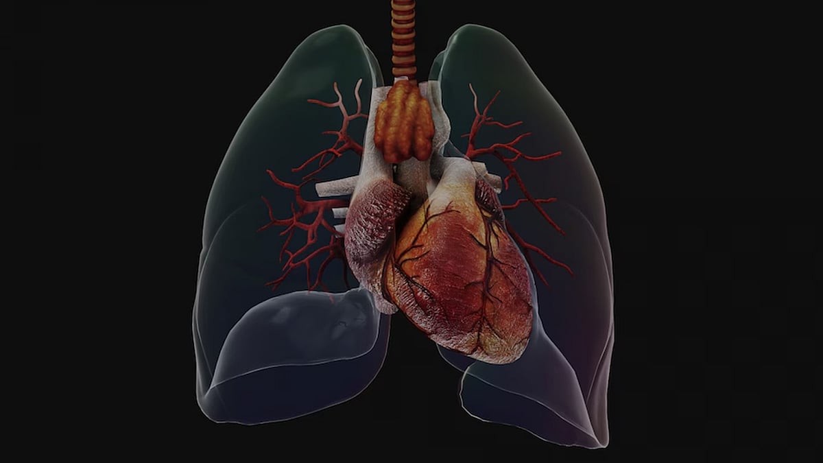 Preventive Heart & Lung Care: Hinduja family And Hospital's Holistic View